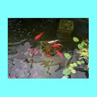 Conservatory 006.jpg